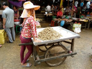 Oscar wends his way through the market in Siem Reap, Cambodia