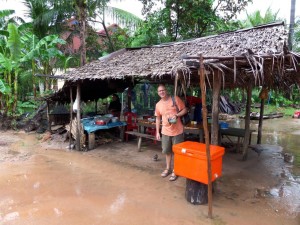 Rice farming outside Siem Reap, Cambodia