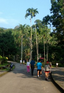 Morning fitness in Georgetown Botanical Gardens, Penang