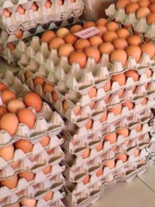 Eggs at the market