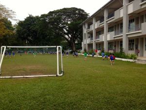 School playing fields